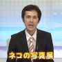 ひらく「かいちゃん」　ฅ･ω･`ฅ