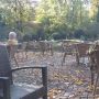 2 november 2014. Buiten zonder winterjas op terras @ervehulsbeek in Oldenzaal.