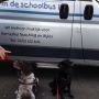 Honden uitgelaten. 