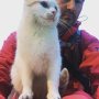 Made a new ski friend...