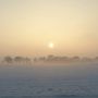 West-Brabantse sneeuwsavanne