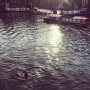 back in the dam