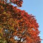 That time of year again 🍁🍂