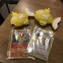 Caught two (!!!) Shiny Magikarp! ✨