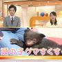 ソロたつからのクマの赤ちゃんでしたが、受けはありませんでした。CKこら！そこ重要だからな！
