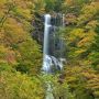 【紅葉紀行2013】日光市(旧栗山村)にある蛇王の滝 ようやく見頃になりました
