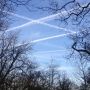 For a run @ vondelpark :) 