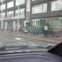 Zo te zien hebben ze daar vanavond een gezellig feestje...