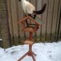 I love my new bird trap...