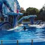 Flipper. #seaworld