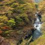 【塩原渓谷】箒川流域の紅葉