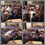 A series of events. 

W/ @KevElmer & @Lieseybiese. @JustinYoung 

Lady. Mali. Dora. Maté. 
