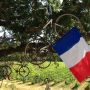 Boom. Met 100 fietsen. #tdf