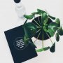 Colleague @simcha (who is a plant lover) told us about this hipster plant #pilea that had been without water for a while 🙈🌱 #alwayslearning