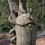 でっかいカブトムシがおるｗｗｗｗｗｗｗ 