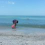   Naples beach