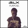 B.L.X - PURPOSE - SINGLE #ITUNES 7/8/16 @blx_roberts