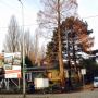 Straatweg. Dit wordt gesloopt/omgezaagd. 