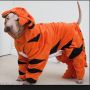 @dangerous_afc @TomosTaxi don't forget to walk the dog 
