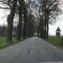 1 van de meest besproken wegen vd laatste tijd: de Rechterensedijk in Dalfsen. #bomenkap
