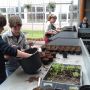 Lente op het AOC in Almelo # tvoost