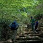 【筑波山】お店の近くにある遊歩道はさすがによく整備されてる 