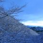 雪山の夜明け