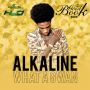 ALKALINE - WHAT A GWAAN - GOOD BOOK RIDDIM - SINGLE - #ITUNES 3/11/14 @zjliquid @thealkaline 