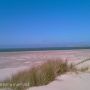 Veel wind