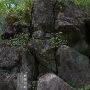 【筑波山】筑波山奇岩群その3 裏面大黒 煩悩にまみれた僕ちゃんには大黒様に見えない...ｗ 