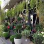 Bloemenwinkel. St Cécile. 