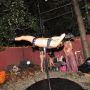 Show Pole dance