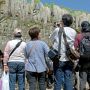 【あしかがフラワーパーク2015】今年も来たぞ撮影難易度MAXの白藤のトンネル 人多すぎいいいいいいい!!!
