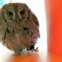 今日のカラコル(*ﾟθﾟ) 毎日毎日可愛すぎてやばい！笑