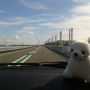Zeeland/Zélande! :-)