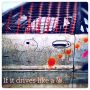 “If it talks like a…”

One Photo a Day Project #075
#Bertrix
.