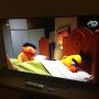 Wij kijken #Sesamstraat. 