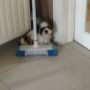 @ladykcab ha,ha, lovely . We got this little fella a cpl of weeks ago so mine are already hyper 