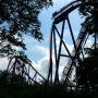   Here we go... SheiKra #buschgardens