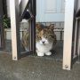 久しぶりに会えた。何年経っても縮まらぬこの距離。話は聞いてくれる。