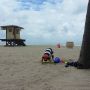   Onder de palmboom