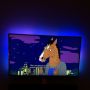 Best leuk, Bojack Horseman.