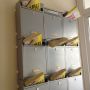 Also. I think someone delivered the yellow pages 