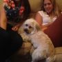 At the parents house 