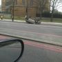 @Jackcabnory A better pic