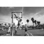 Fijn account om te volgen... @shootinghoops Vooral voor basketballiefhebbers, maar ook als je gewoon van mooie beelden houdt. #tip