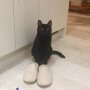 Alan, the feral, hints that it's late and he's ready for bed. 