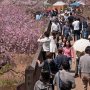 【常陸 風土記の丘】金龍橋を行き来する人達も時間を追うごとにどんどん増える～ 