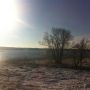 Naardermeertje vanuit de trein. Tropisch sneeuwstrand.