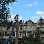 Boom voor ons huis moest accuut geveld worden